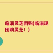 临淄灵芝团购(临淄现团购灵芝！)