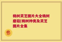 杨树灵芝图片大全杨树磨菇(杨树种类及灵芝图片全集