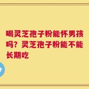 喝灵芝孢子粉能怀男孩吗？灵芝孢子粉能不能长期吃