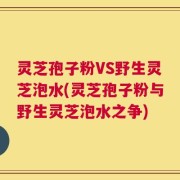 灵芝孢子粉VS野生灵芝泡水(灵芝孢子粉与野生灵芝泡水之争)