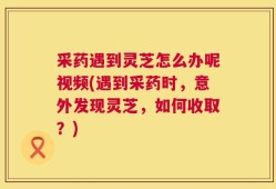 采药遇到灵芝怎么办呢视频(遇到采药时，意外发现灵芝，如何收取？)