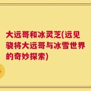 大远哥和冰灵芝(远见骁将大远哥与冰雪世界的奇妙探索)