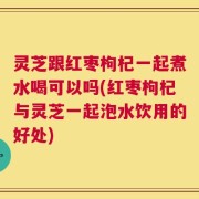 灵芝跟红枣枸杞一起煮水喝可以吗(红枣枸杞与灵芝一起泡水饮用的好处)