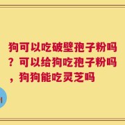 狗可以吃破壁孢子粉吗？可以给狗吃孢子粉吗，狗狗能吃灵芝吗