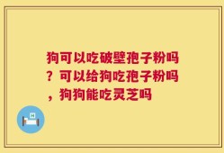狗可以吃破壁孢子粉吗？可以给狗吃孢子粉吗，狗狗能吃灵芝吗