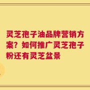 灵芝孢子油品牌营销方案？如何推广灵芝孢子粉还有灵芝盆景