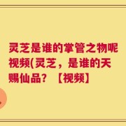 灵芝是谁的掌管之物呢视频(灵芝，是谁的天赐仙品？【视频】