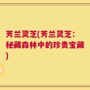 芳兰灵芝(芳兰灵芝：秘藏森林中的珍贵宝藏)