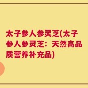 太子参人参灵芝(太子参人参灵芝：天然高品质营养补充品)