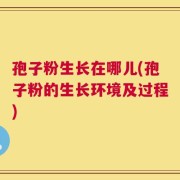 孢子粉生长在哪儿(孢子粉的生长环境及过程)