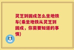 灵芝到固戍怎么坐地铁车(乘坐地铁从灵芝到固戍，你需要知道的事情)