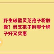 野生破壁灵芝孢子粉胶囊？灵芝孢子粉哪个牌子好又实惠
