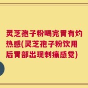 灵芝孢子粉喝完胃有灼热感(灵芝孢子粉饮用后胃部出现刺痛感觉)