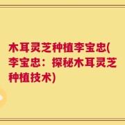 木耳灵芝种植李宝忠(李宝忠：探秘木耳灵芝种植技术)