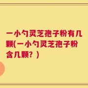 一小勺灵芝孢子粉有几颗(一小勺灵芝孢子粉含几颗？)