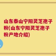 山东泰山宁阳灵芝孢子粉(山东宁阳灵芝孢子粉产地介绍)