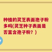 种植的灵芝表面孢子粉多吗(灵芝种子表面是否富含孢子粉？)