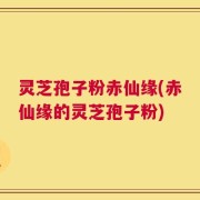 灵芝孢子粉赤仙缘(赤仙缘的灵芝孢子粉)