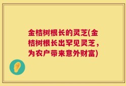 金桔树根长的灵芝(金桔树根长出罕见灵芝，为农户带来意外财富)