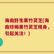 海南野生黑竹灵芝(海南珍稀黑竹灵芝现身，引起关注！)