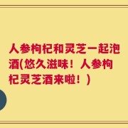 人参枸杞和灵芝一起泡酒(悠久滋味！人参枸杞灵芝酒来啦！)