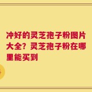 冲好的灵芝孢子粉图片大全？灵芝孢子粉在哪里能买到