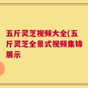五斤灵芝视频大全(五斤灵芝全景式视频集锦展示
