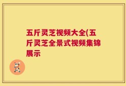 五斤灵芝视频大全(五斤灵芝全景式视频集锦展示