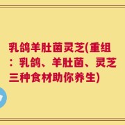 乳鸽羊肚菌灵芝(重组：乳鸽、羊肚菌、灵芝三种食材助你养生)
