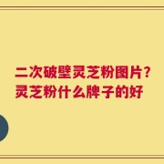 二次破壁灵芝粉图片？灵芝粉什么牌子的好