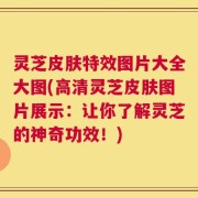 灵芝皮肤特效图片大全大图(高清灵芝皮肤图片展示：让你了解灵芝的神奇功效！)