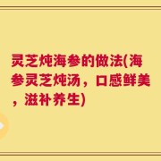 灵芝炖海参的做法(海参灵芝炖汤，口感鲜美，滋补养生)