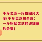 千斤灵芝一斤粉图片大全(千斤灵芝粉全貌：一斤粉状灵芝的详细图片合集)