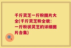 千斤灵芝一斤粉图片大全(千斤灵芝粉全貌：一斤粉状灵芝的详细图片合集)