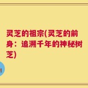 灵芝的祖宗(灵芝的前身：追溯千年的神秘树芝)