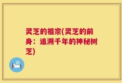 灵芝的祖宗(灵芝的前身：追溯千年的神秘树芝)