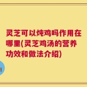 灵芝可以炖鸡吗作用在哪里(灵芝鸡汤的营养功效和做法介绍)