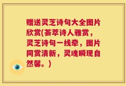 赠送灵芝诗句大全图片欣赏(荟萃诗人雅赏，灵芝诗句一线牵，图片同赏清新，灵魂瞬现自然馨。)