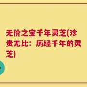 无价之宝千年灵芝(珍贵无比：历经千年的灵芝)