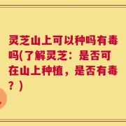 灵芝山上可以种吗有毒吗(了解灵芝：是否可在山上种植，是否有毒？)