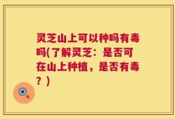 灵芝山上可以种吗有毒吗(了解灵芝：是否可在山上种植，是否有毒？)