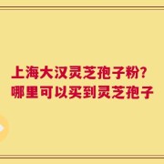 上海大汉灵芝孢子粉？哪里可以买到灵芝孢子