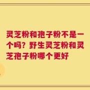 灵芝粉和孢子粉不是一个吗？野生灵芝粉和灵芝孢子粉哪个更好