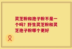 灵芝粉和孢子粉不是一个吗？野生灵芝粉和灵芝孢子粉哪个更好