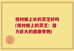 棺材板上长的灵芝好吗(棺材板上的灵芝：潜力巨大的健康奇物)