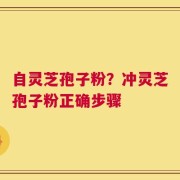 自灵芝孢子粉？冲灵芝孢子粉正确步骤