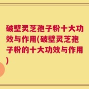 破壁灵芝孢子粉十大功效与作用(破壁灵芝孢子粉的十大功效与作用)