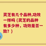 灵芝有几个品种,功效一样吗 (灵芝的品种有多少种，功效是否一致？)