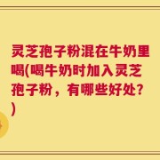 灵芝孢子粉混在牛奶里喝(喝牛奶时加入灵芝孢子粉，有哪些好处？)