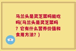马兰头是灵芝菜吗能吃吗(马兰头是灵芝菜吗？它有什么营养价值和食用方法？)